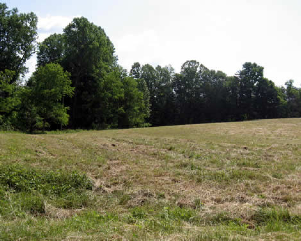 Land for Sale by Owner - Chestnut Ridge Farm