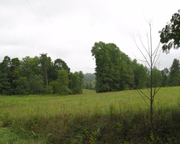 Land For Sale By Owner - Chestnut Ridge Farm