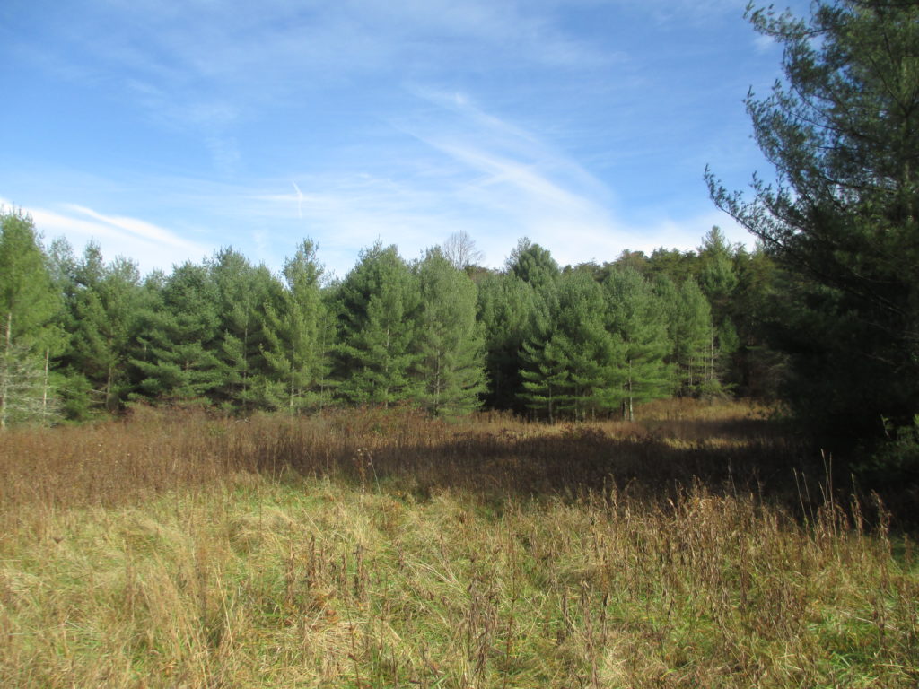 Commercial Property in Floyd Land With Potential Virginia Mountain Land