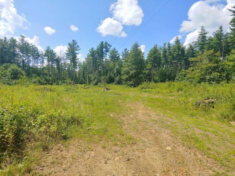 Virginia Mountain Land Land for Sale by Owner in SWVA