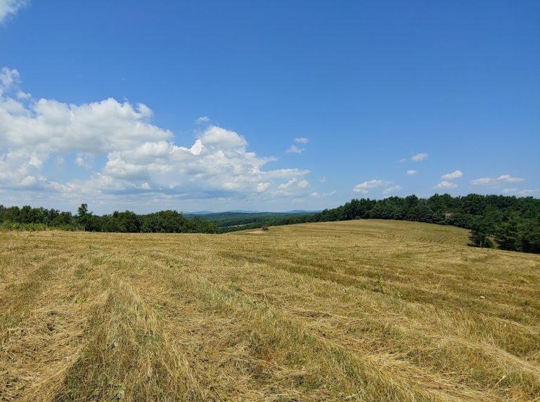 Virginia Mountain Land Land for Sale by Owner in SWVA