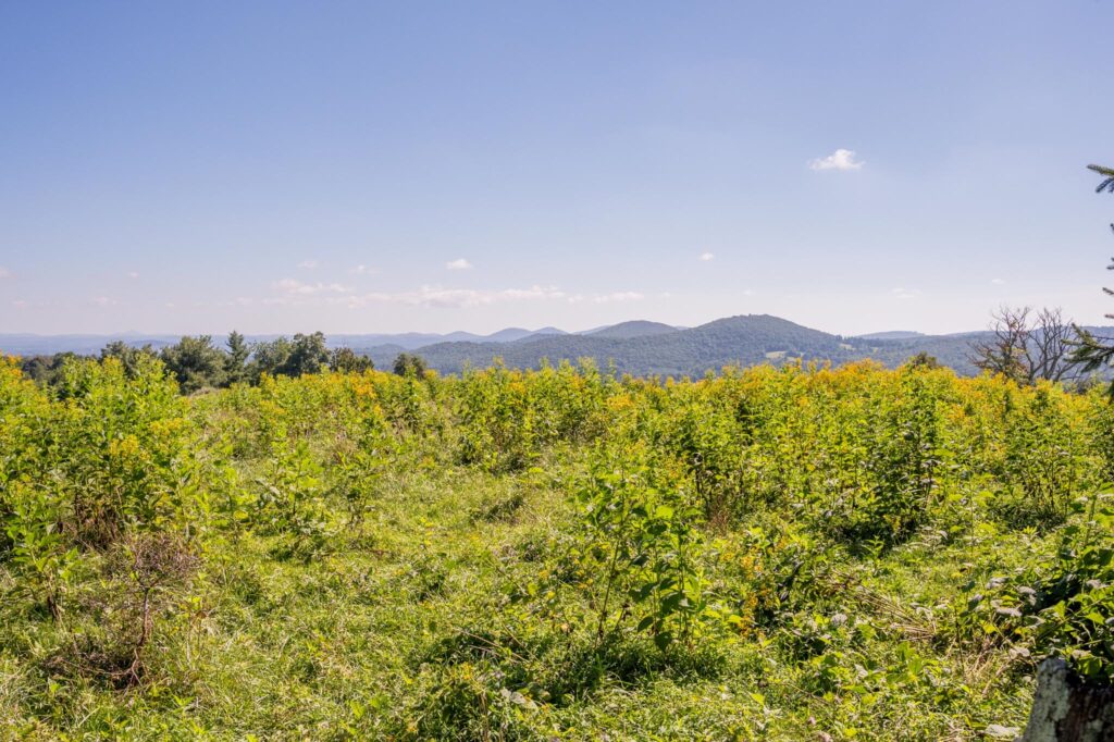 Virginia Mountain Land Land for Sale by Owner in SWVA
