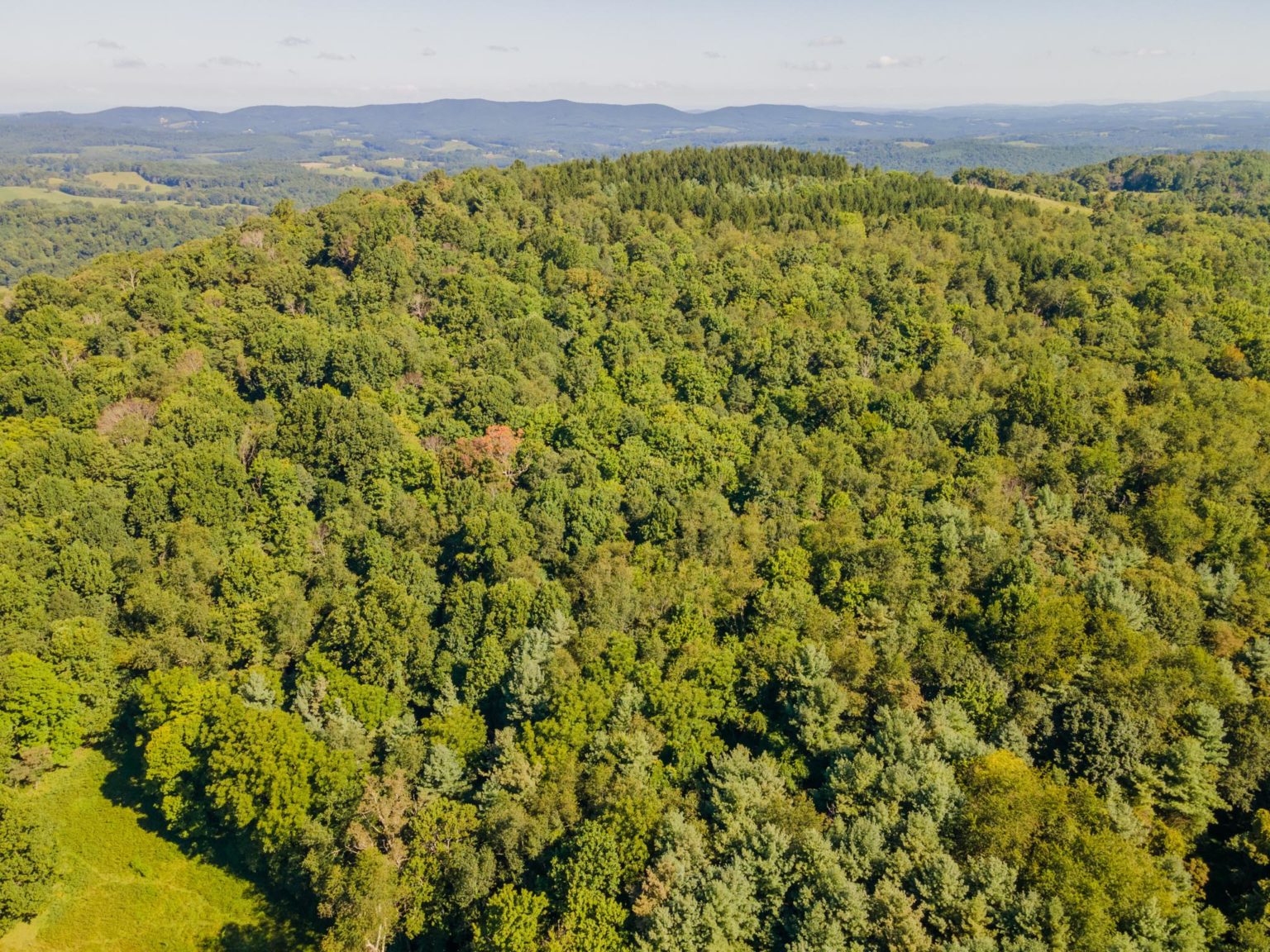 Black Ridge Acres One 25+Acre Tract Available Virginia Mountain Land