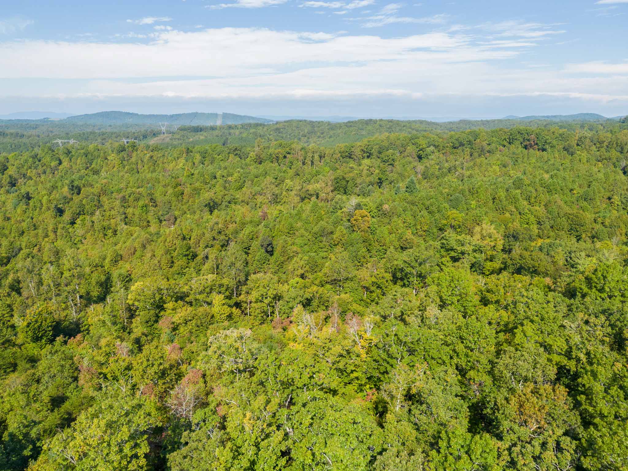 WILDWOOD ACRES SOLD Virginia Mountain Land