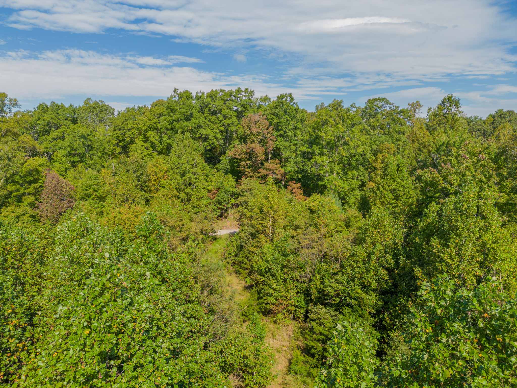 WILDWOOD ACRES SOLD Virginia Mountain Land