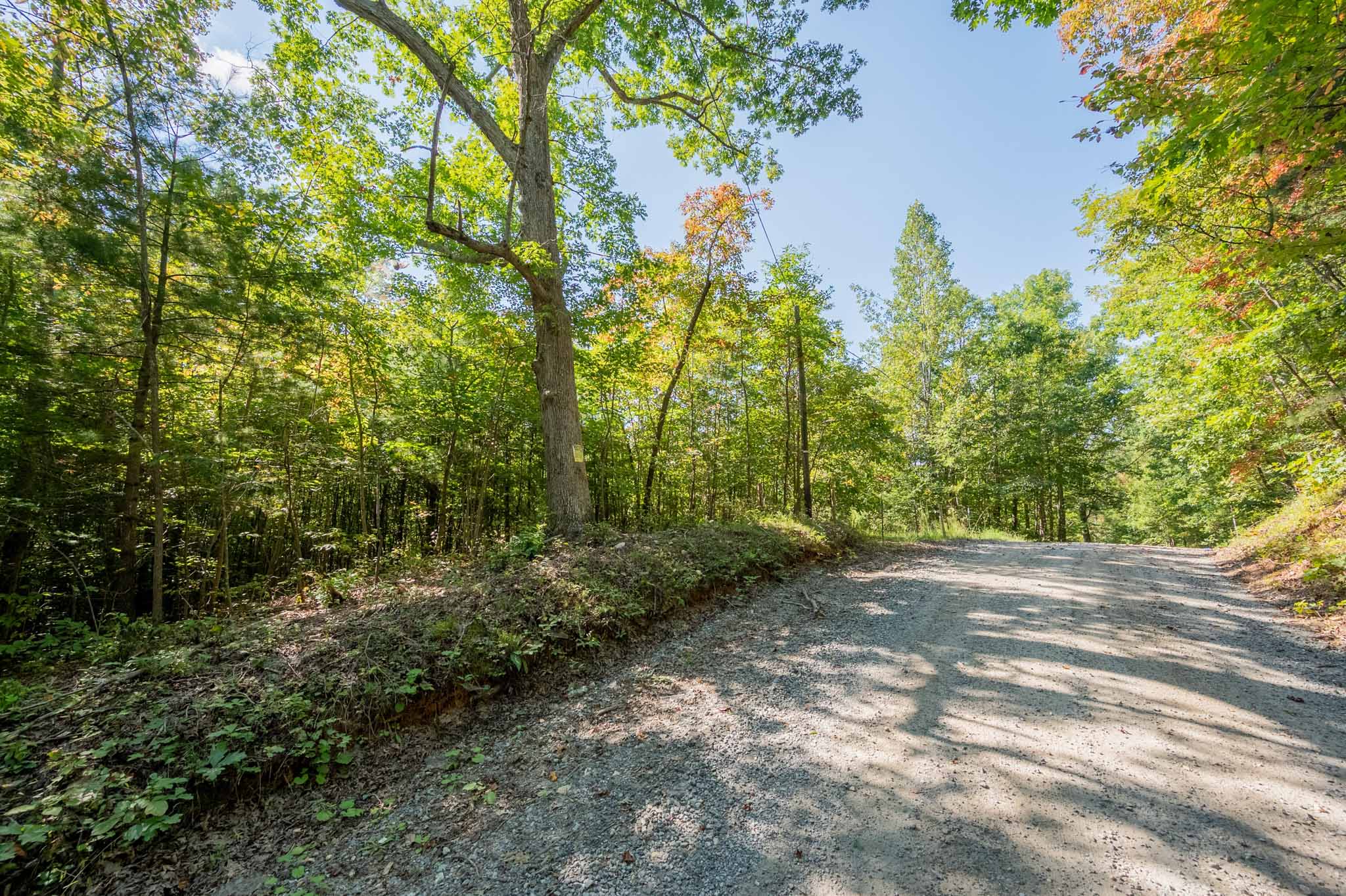 WILDWOOD ACRES SOLD Virginia Mountain Land