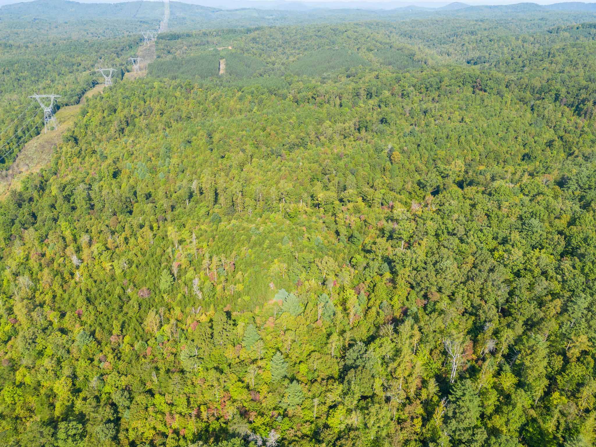 WILDWOOD ACRES SOLD Virginia Mountain Land