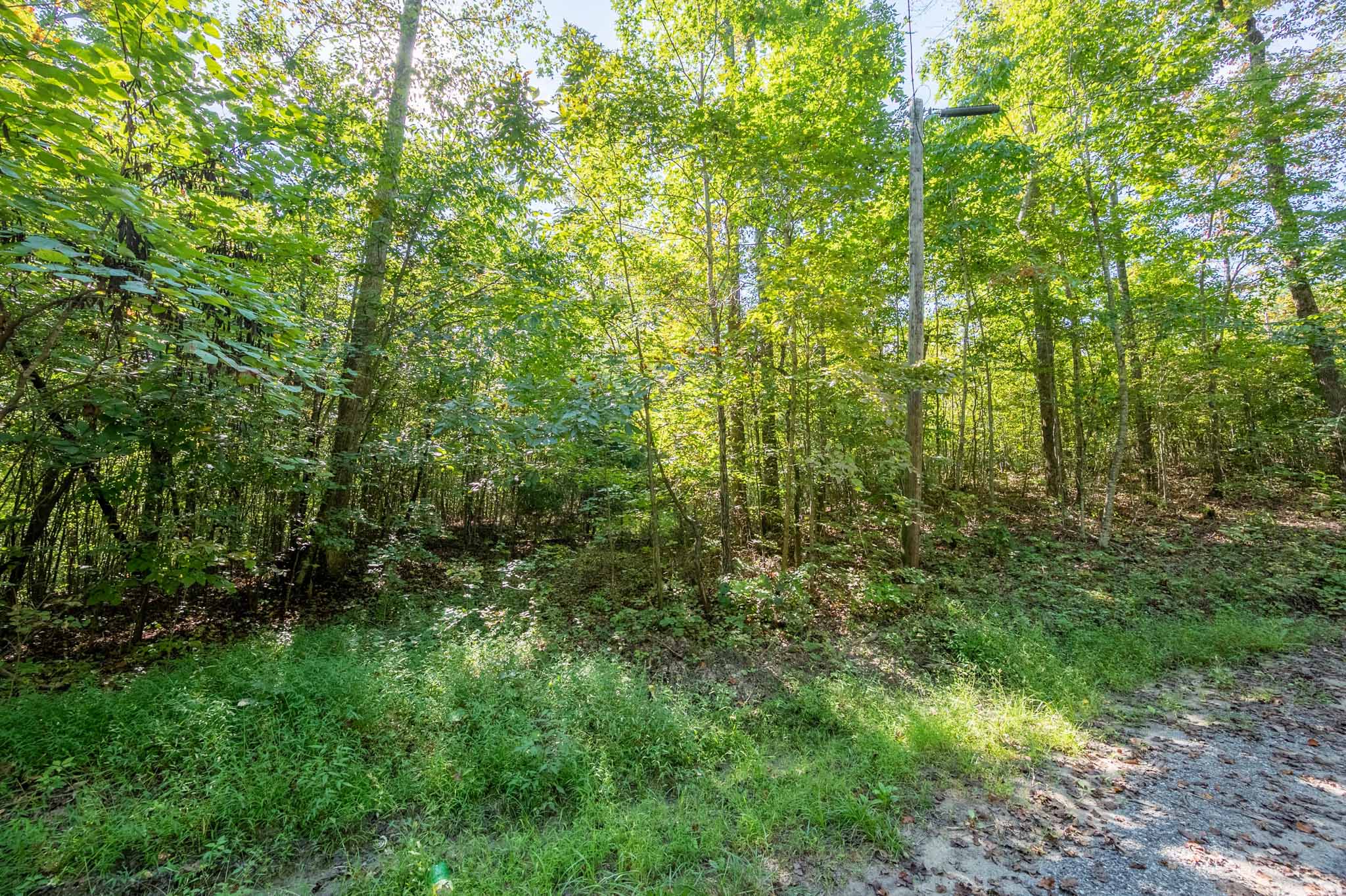 WILDWOOD ACRES SOLD Virginia Mountain Land