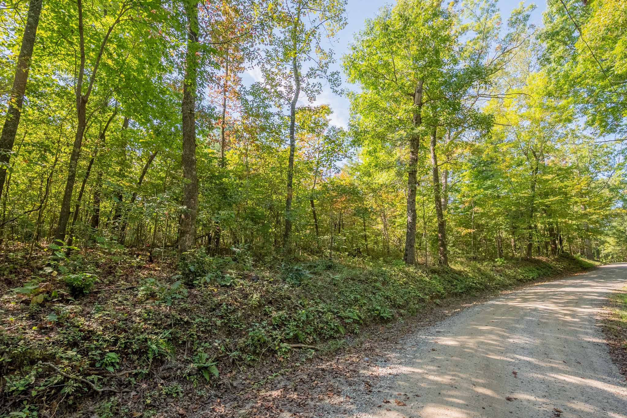 WILDWOOD ACRES SOLD Virginia Mountain Land