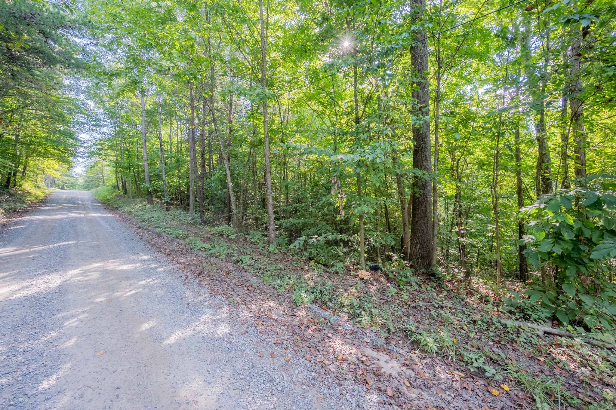 WILDWOOD ACRES SOLD Virginia Mountain Land