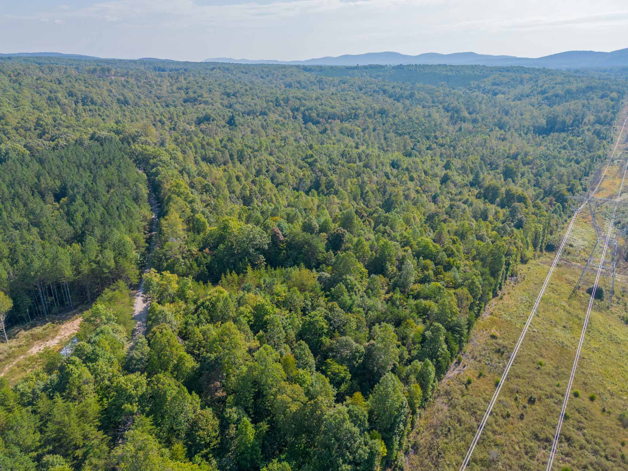 WILDWOOD ACRES SOLD Virginia Mountain Land