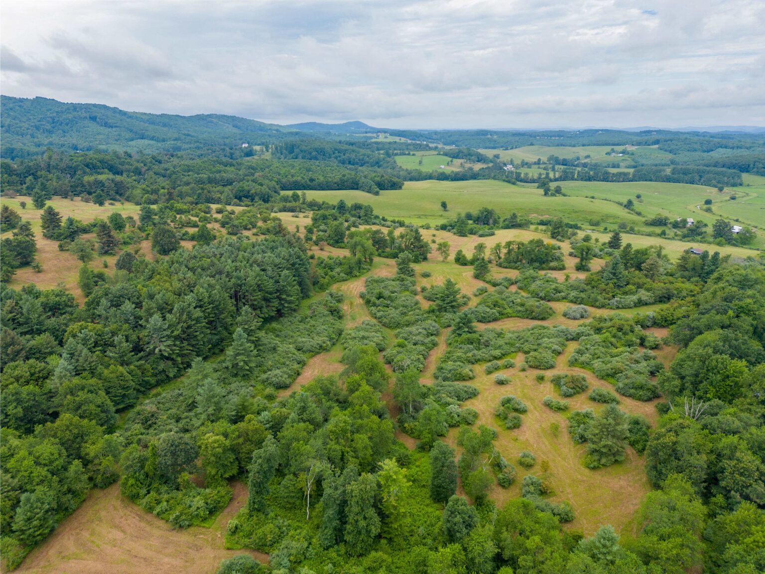Virginia Mountain Land Land for Sale by Owner in SWVA