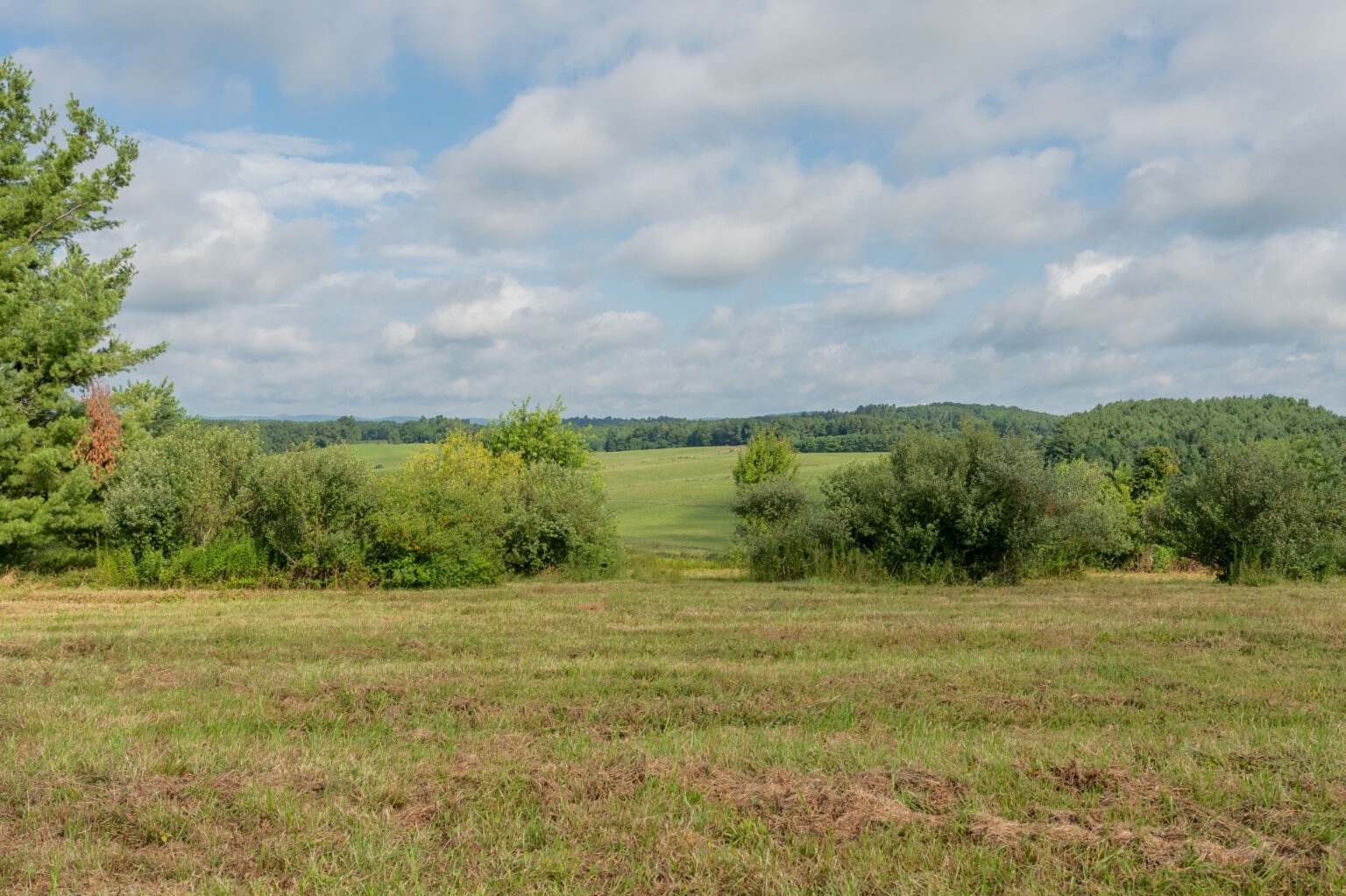 New Tract Available! Merifield Acres Floyd County, VA Virginia