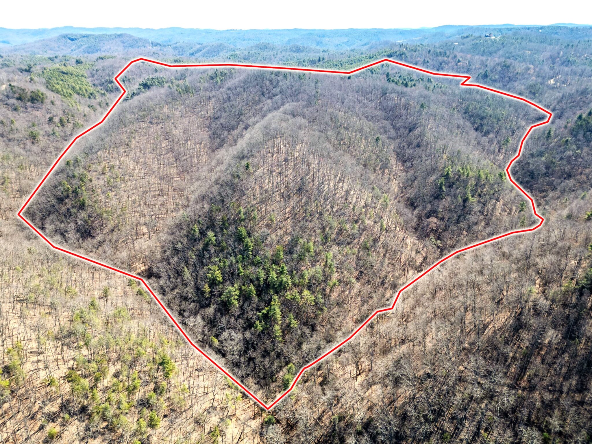 Virginia Mountain Land Land for Sale by Owner in SWVA