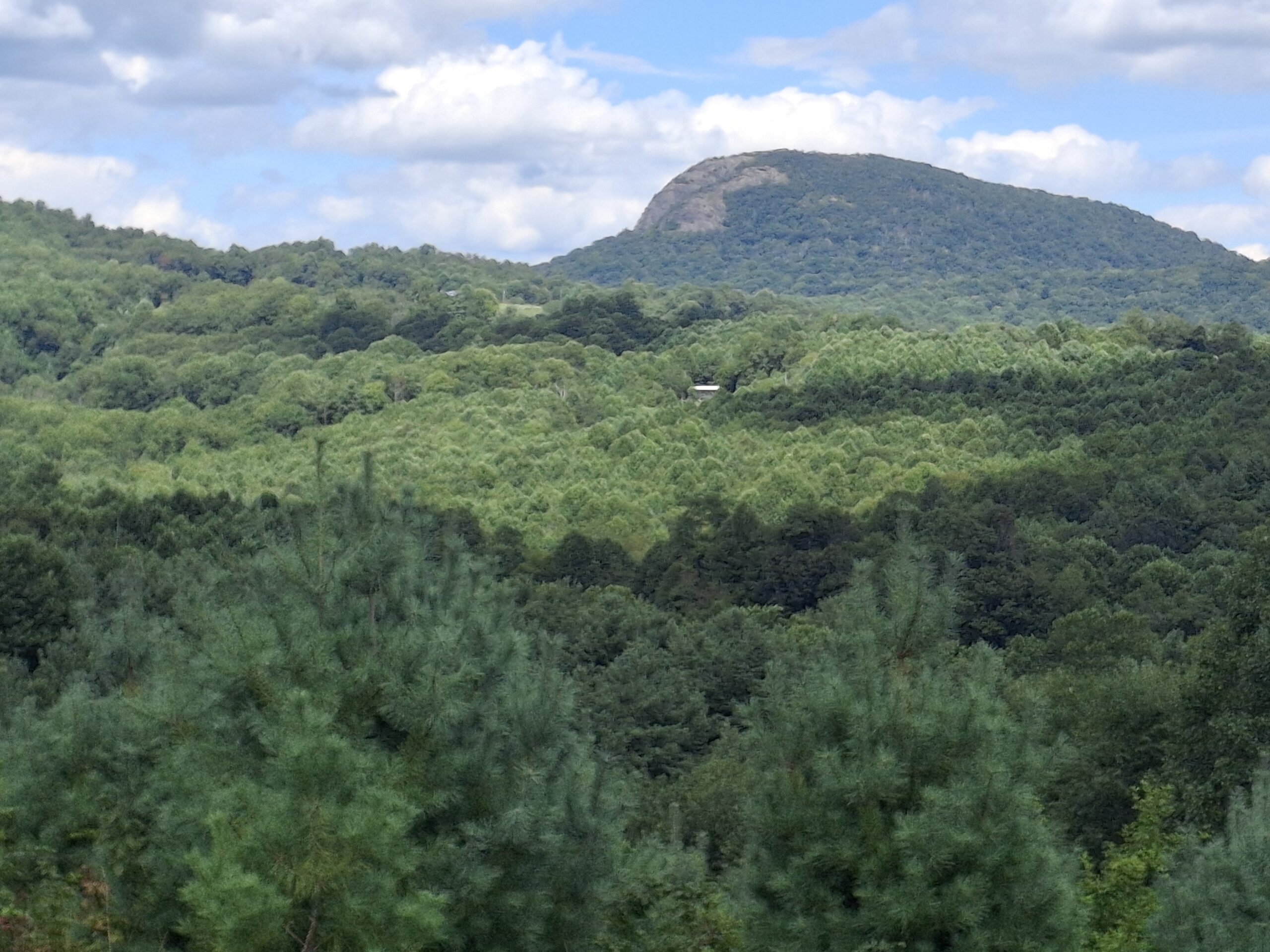 2.63-Acre Homesite With View